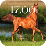 Horses Theme Lock Screen icône