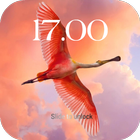 Pink Flamingo Lock Screen Theme icon