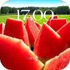 Red Watermelon Thema APK