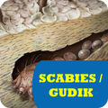 ”Obat Scabies Gudik