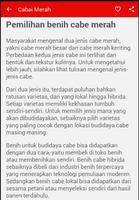 Budidaya Cabai Merah تصوير الشاشة 3