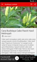 Budidaya Lombok Unggul screenshot 1