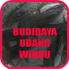 Budidaya Udang Windu icône