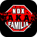 Lirik Lagu NDX AXA APK