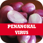 Penangkal Virus Alami 图标