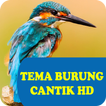 Tema Burung HD