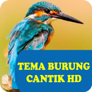 Tema Burung HD APK