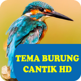 Tema Burung HD icône