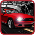 City Traffic Car Driver