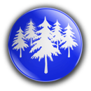APK Quiz Forest