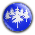 Quiz Forest biểu tượng