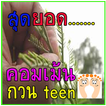 คอมเม้นกวนteen