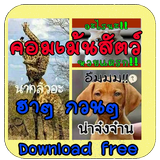 คอมเม้นรูปสัตว์ น่ารักกวนๆ أيقونة