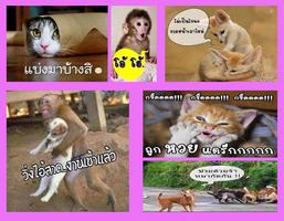 คอมเม้นรูปสัตว์ น่ารักกวนๆ الملصق