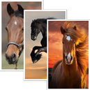 APK Horse Live Wallpaper