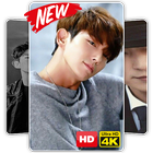 Lee Joon Gi Wallpaper KPOP HD Live icône