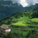 Nepal Wallpapers-APK