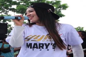 Collection of Songs Via Vallen تصوير الشاشة 2
