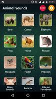 120+ Animal Sounds اسکرین شاٹ 3