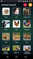 120+ Animal Sounds 截图 1