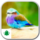 Bird Ringtones ไอคอน