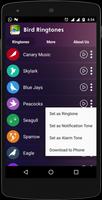 Bird Ringtones capture d'écran 2