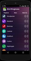 Bird Ringtones स्क्रीनशॉट 3
