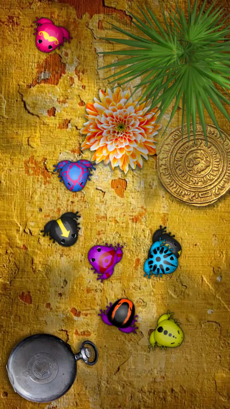 Pocket Frogs: Tiny Pond Keeper