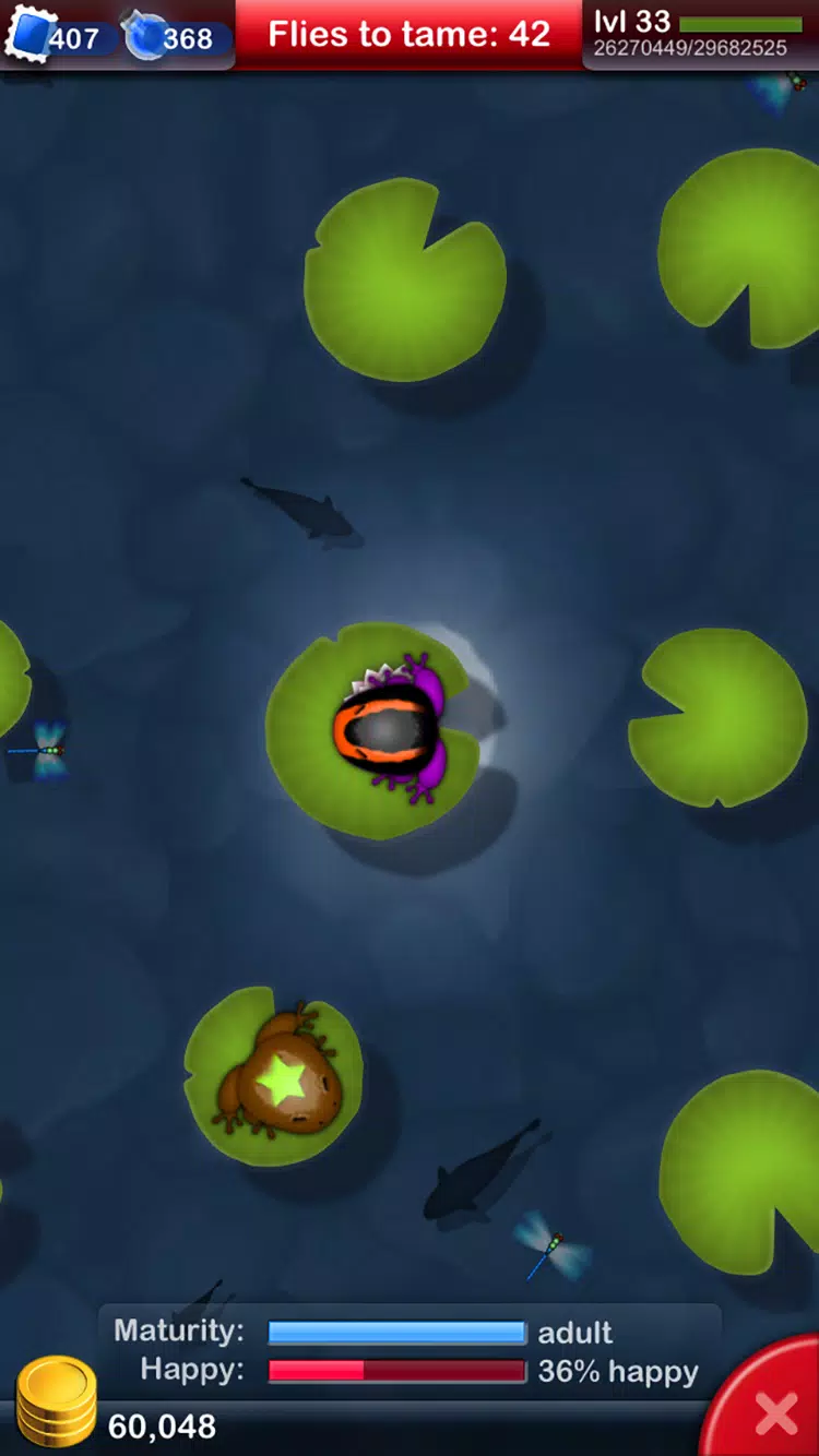 Pocket Frogs: Tiny Pond Keeper