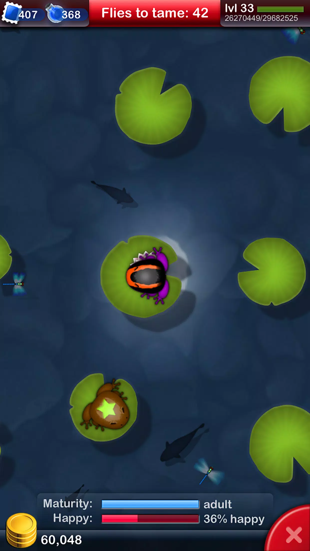 Pocket Frogs: Tiny Pond Keeper