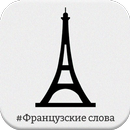Ezy Russian <-> French Words APK