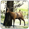 The Wild Hunter APK