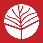 NBT, India-icoon