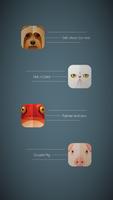 Animals in Casuals poster