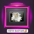 Iyeth Bustami - Ijuk