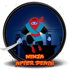 Ninja after adventure islande 圖標