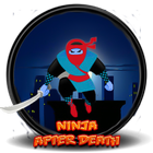 Ninja after adventure islande Zeichen