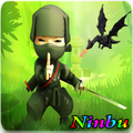 Ninja Buah