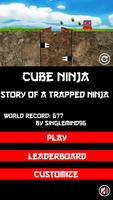 Cube Ninja (free) পোস্টার
