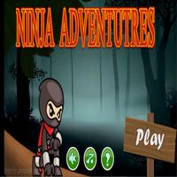 Ninja adventures. Affiche