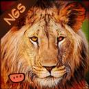 Jungle Hunting Lion APK