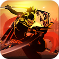 The Shadow Ninja Warriors