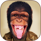 Face Changer - Animal Face आइकन