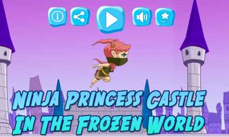 Ninja Princess Castle In The Frozen World Affiche