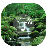 Waterfall Sounds | WaterFlow Wallpapers and Music icône