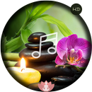 Nature Sounds-Sleep Meditation APK