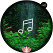 Relax Forest~Meditation sounds