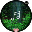 Relax Forest~Meditation sounds APK