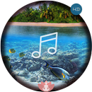 Relax Ocean Sounds-Calm Sleep aplikacja