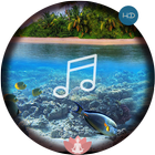 Relax Ocean Sounds-Calm Sleep icône